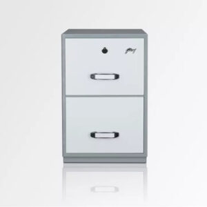 Godrej Fire Resisting Cabinet 2Dr 2Hr